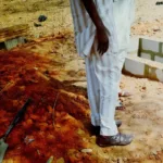 Basement Construction Services Ajman