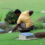 Landscaping and Outdoor Construction Ajman