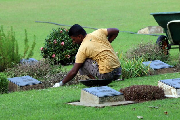 landscaping construction Ajman