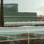 Green Building Construction Ajman