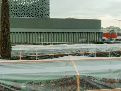 green building construction Ajman