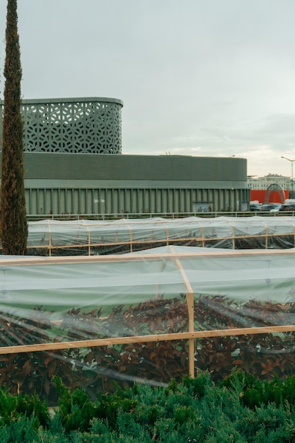 green building construction Ajman